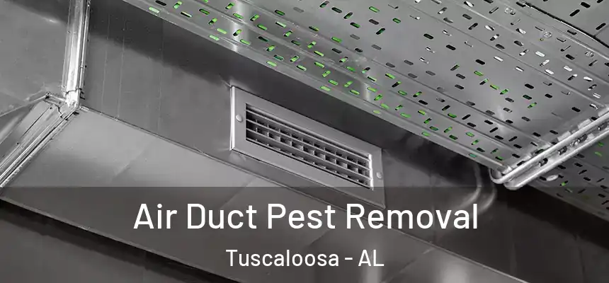 Air Duct Pest Removal Tuscaloosa - AL