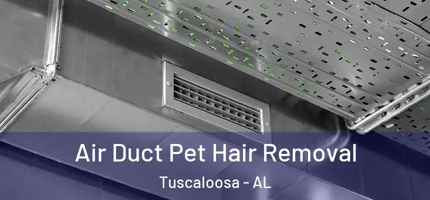 Air Duct Pet Hair Removal Tuscaloosa - AL
