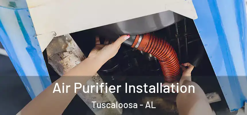 Air Purifier Installation Tuscaloosa - AL