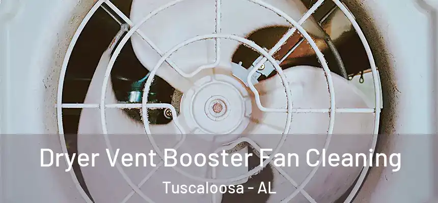 Dryer Vent Booster Fan Cleaning Tuscaloosa - AL