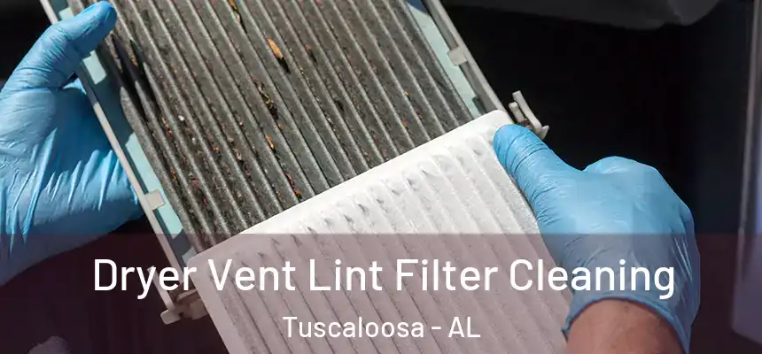 Dryer Vent Lint Filter Cleaning Tuscaloosa - AL