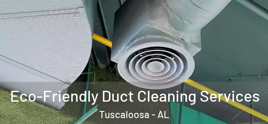 Eco-Friendly Duct Cleaning Services Tuscaloosa - AL