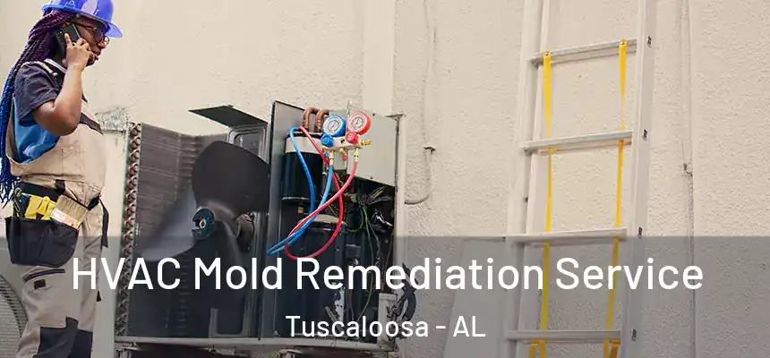 HVAC Mold Remediation Service Tuscaloosa - AL