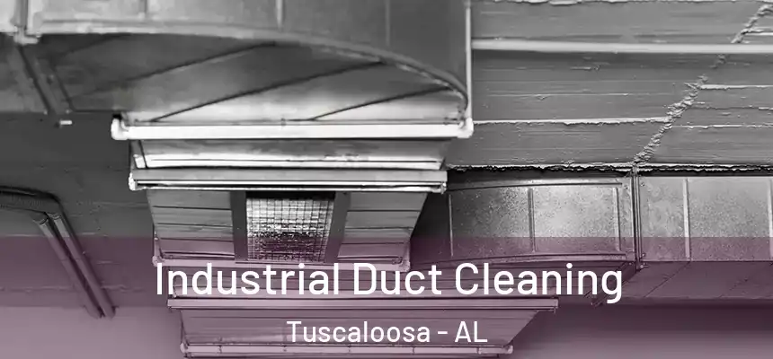 Industrial Duct Cleaning Tuscaloosa - AL