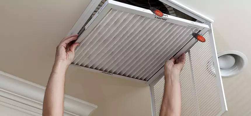 Our Insect Removal from Air Ducts Services in Tuscaloosa, AL