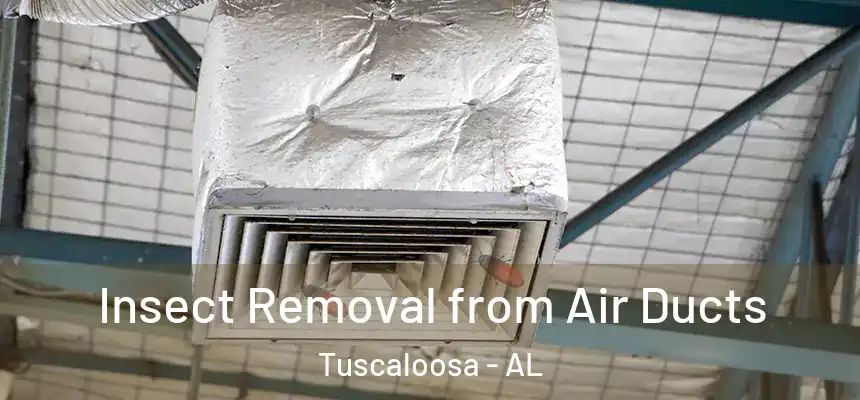 Insect Removal from Air Ducts Tuscaloosa - AL