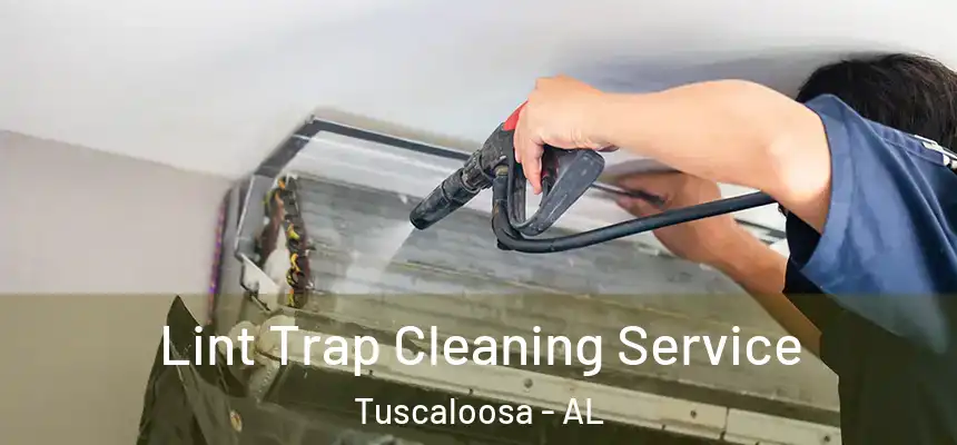 Lint Trap Cleaning Service Tuscaloosa - AL