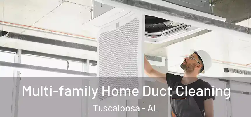 Multi-family Home Duct Cleaning Tuscaloosa - AL