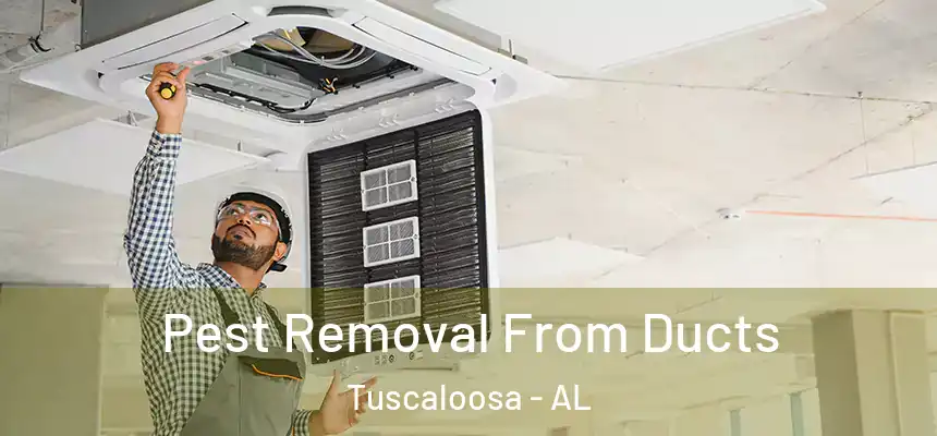 Pest Removal From Ducts Tuscaloosa - AL