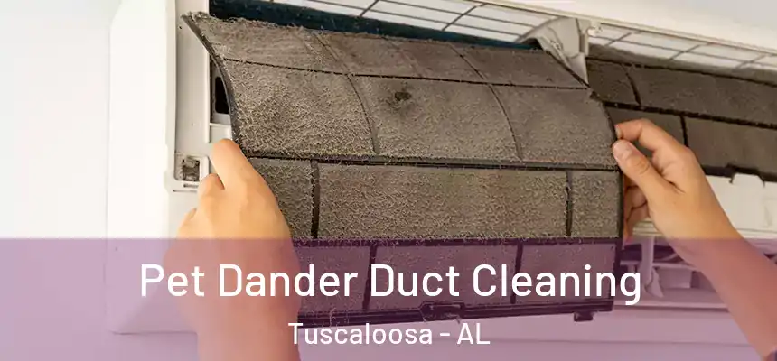 Pet Dander Duct Cleaning Tuscaloosa - AL