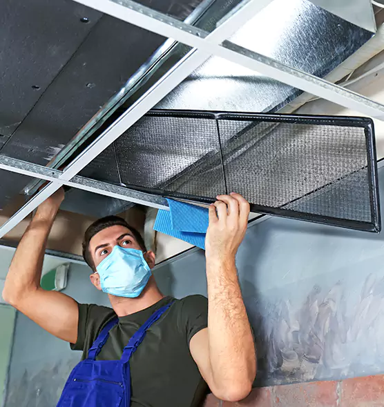 About Air Duct Bacteria Removal in Tuscaloosa