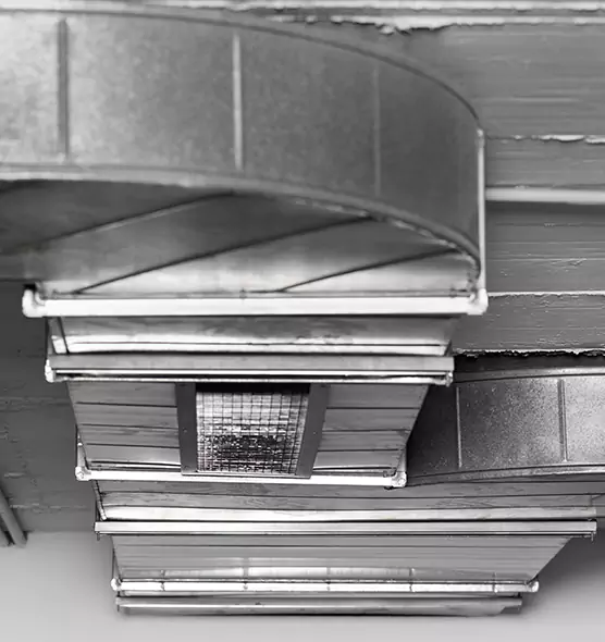 Professional Air Duct Pet Hair Removal in Tuscaloosa, AL