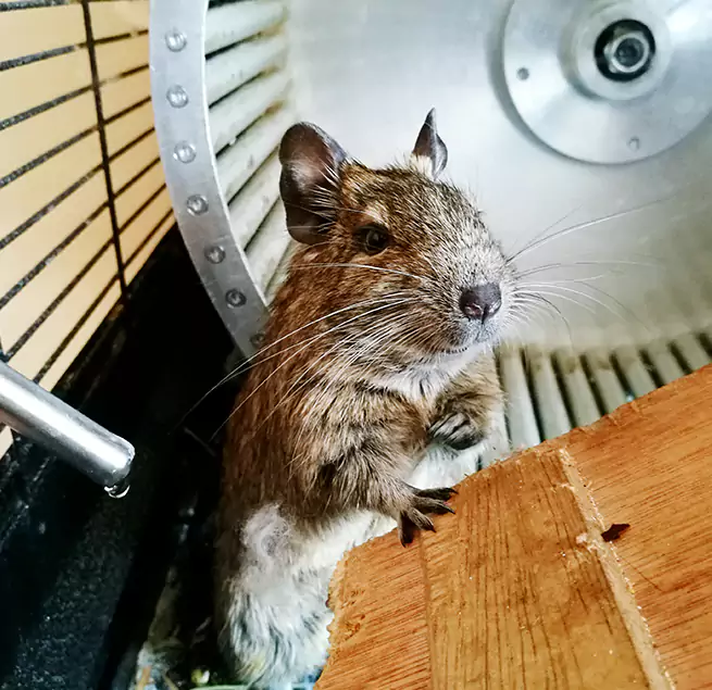 Why Homeowners & Businesses Trust Us Tuscaloosa, AL?