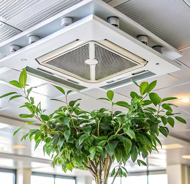 Why Homeowners & Businesses Trust Us in Tuscaloosa, AL