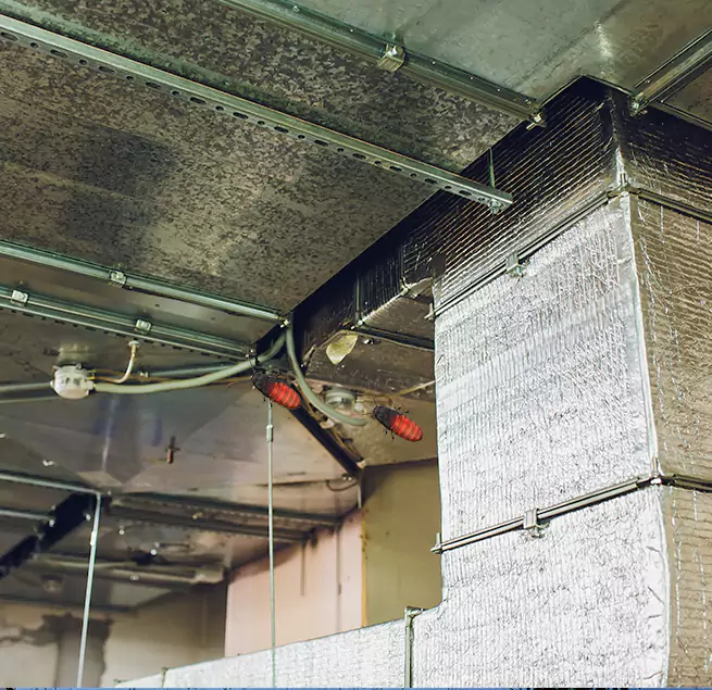 Why Homeowners & Businesses Trust Us Tuscaloosa, AL?