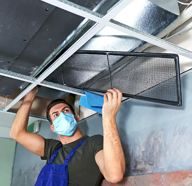 Why Homeowners & Businesses Trust Us in Tuscaloosa, AL?