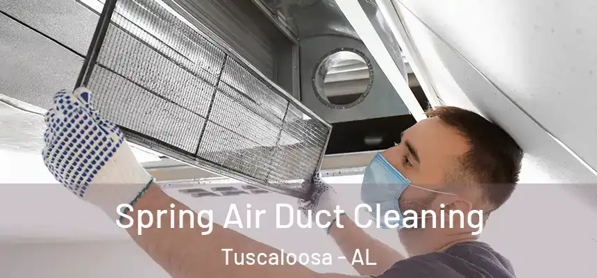 Spring Air Duct Cleaning Tuscaloosa - AL