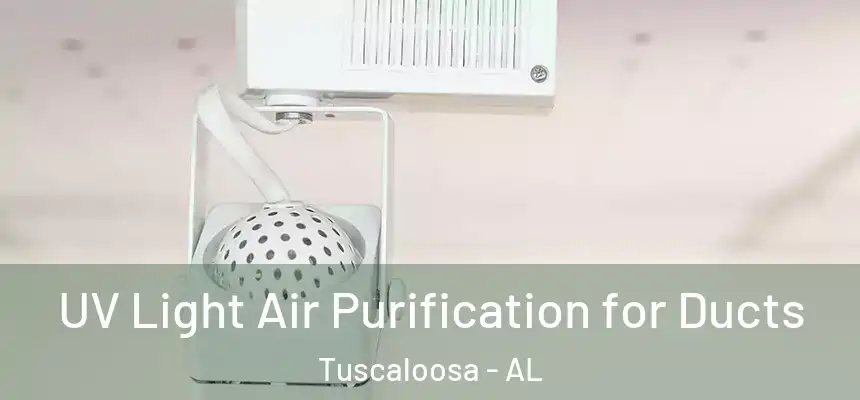 UV Light Air Purification for Ducts Tuscaloosa - AL